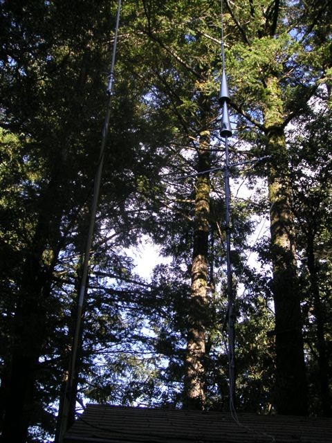 packet antennas on short poles above the shack rooftop